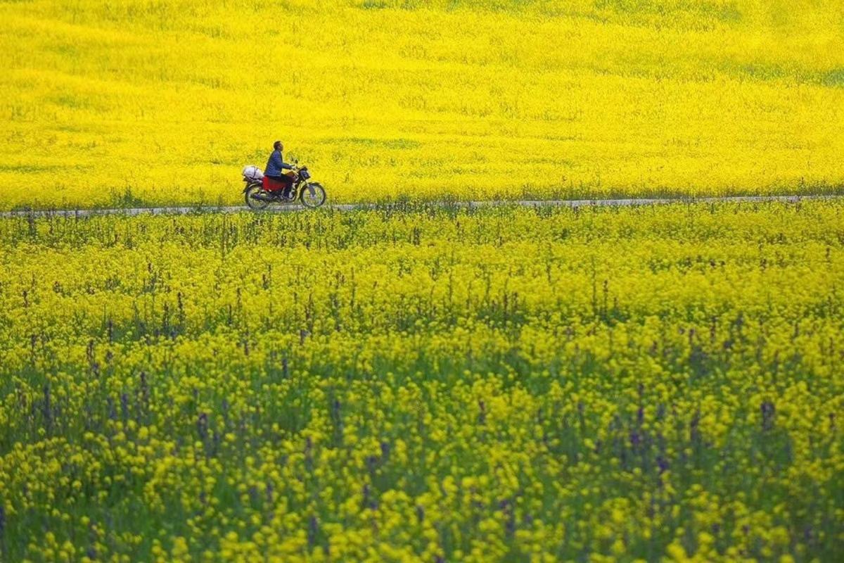 Xishan Wutong Qinyuan Хуаншань Экстерьер фото